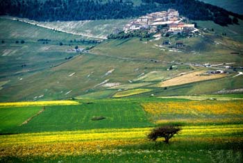 Castelluccio PG