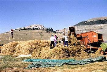 Castelluccio PG