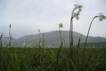 Castelluccio PG