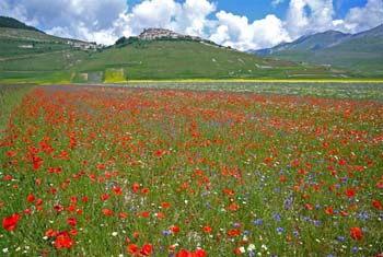 Castelluccio PG