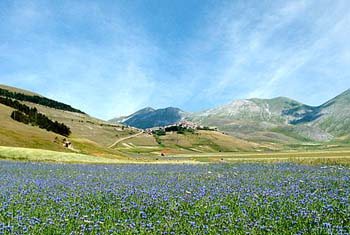 Castelluccio PG