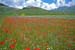 Castelluccio di Norcia PG